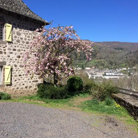 Maison De Vacances A Avec Jardin Et Animaux Acceptes - Fr-1-742-147 Hébergement de vacances Vic-sur-Cère